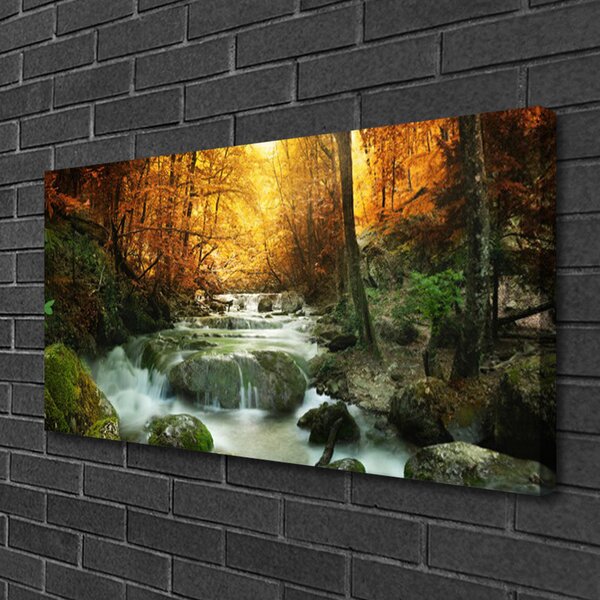 Obraz Canvas Vodopád príroda les jeseň 100x50 cm