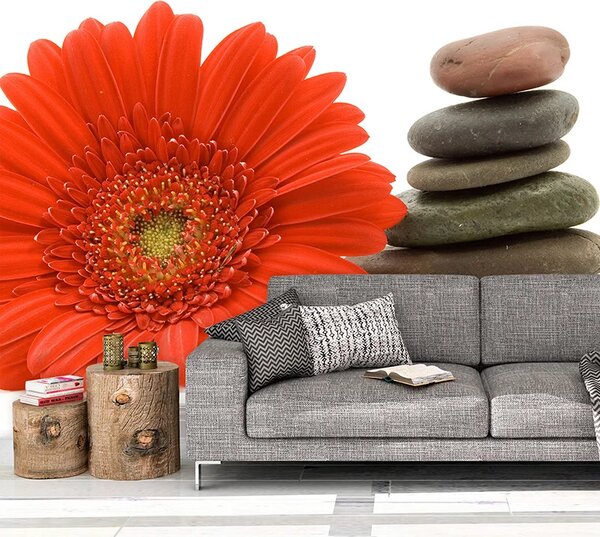 Sablio Tapeta Gerbera s kameňmi - 125x75 cm