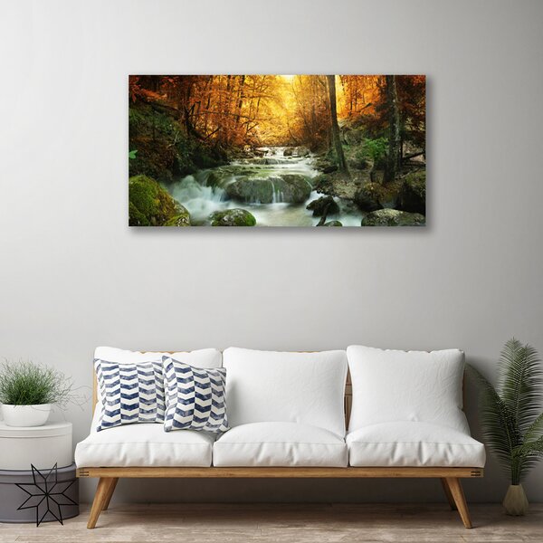 Obraz Canvas Vodopád príroda les jeseň 100x50 cm