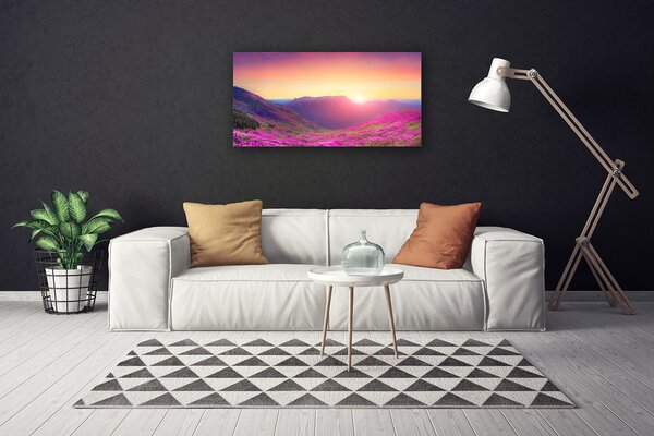 Obraz Canvas Slnko hory lúka príroda 100x50 cm