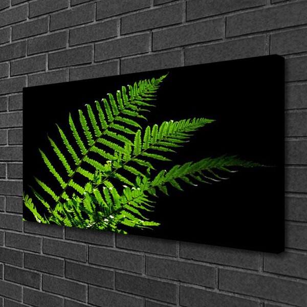 Obraz Canvas Sladič papradie listy 100x50 cm