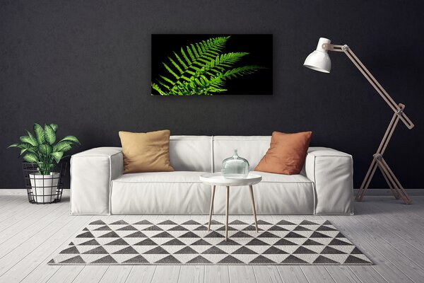 Obraz Canvas Sladič papradie listy 100x50 cm