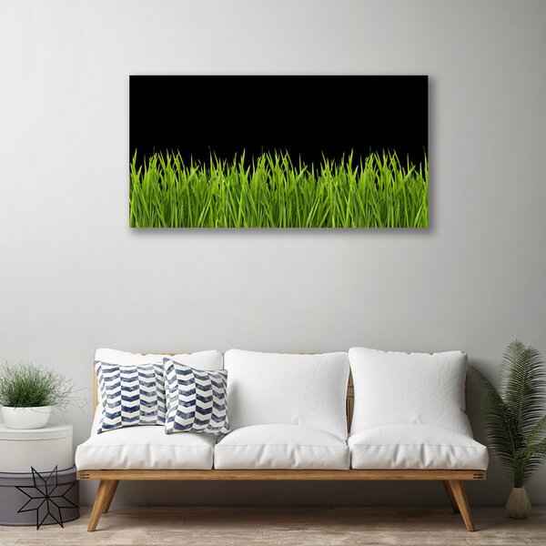 Obraz Canvas Zelená tráva príroda 100x50 cm