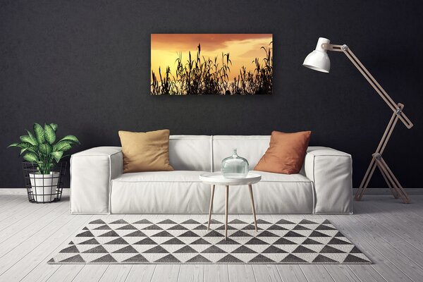 Obraz Canvas Listy západ lúka pole 100x50 cm