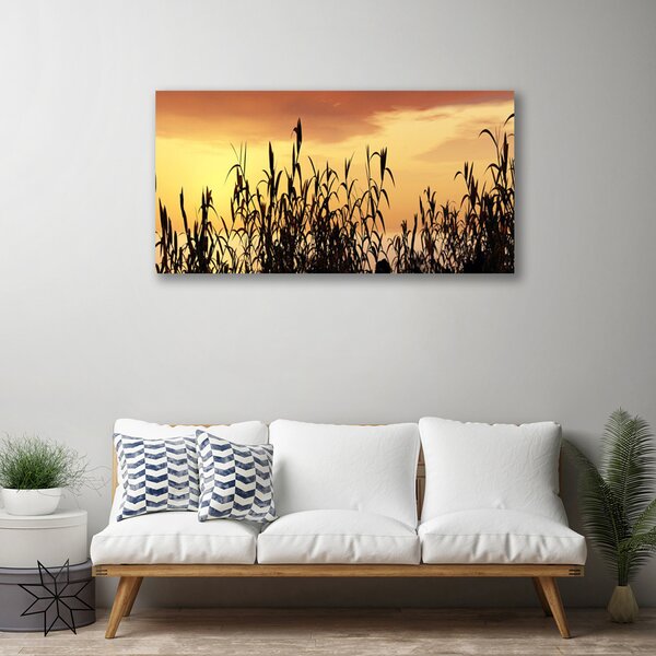 Obraz Canvas Listy západ lúka pole 100x50 cm