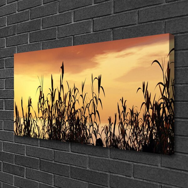 Obraz Canvas Listy západ lúka pole 100x50 cm
