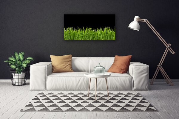 Obraz Canvas Zelená tráva príroda 100x50 cm