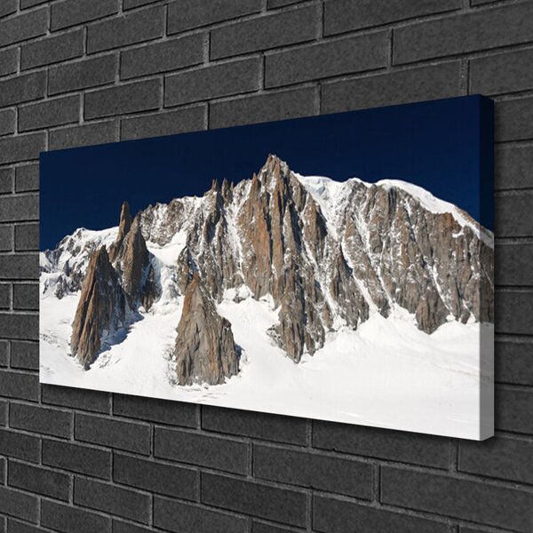 Obraz Canvas Zsněžené horské vrcholy 100x50 cm
