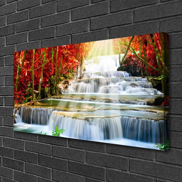 Obraz Canvas Vodopád príroda les 100x50 cm