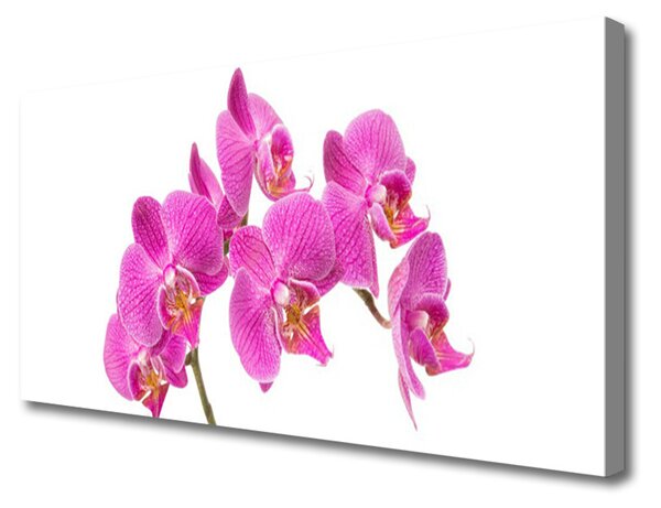 Obraz Canvas Orchidea kvety príroda 100x50 cm