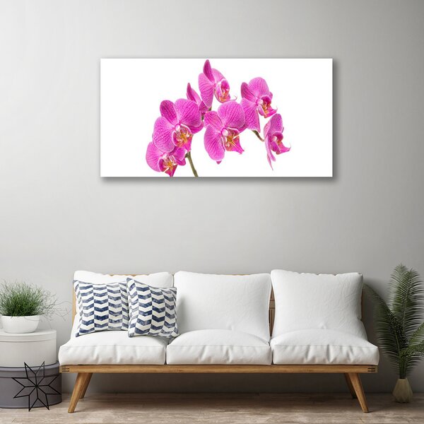 Obraz Canvas Orchidea kvety príroda 100x50 cm