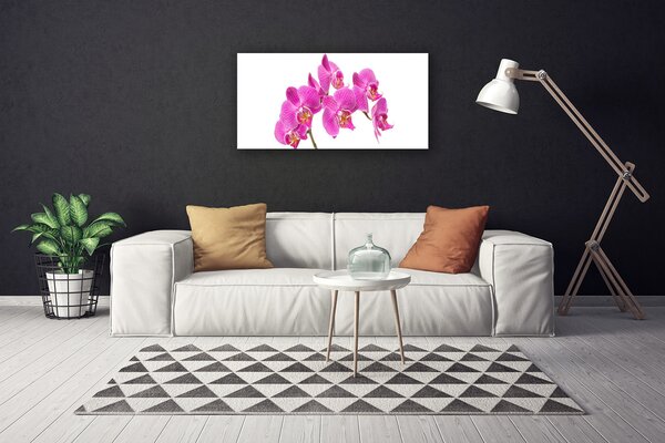 Obraz Canvas Orchidea kvety príroda 100x50 cm