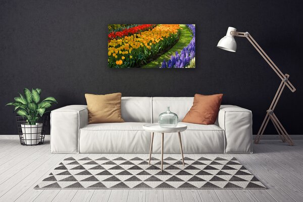 Obraz Canvas Kvety záhrada tulipány 100x50 cm