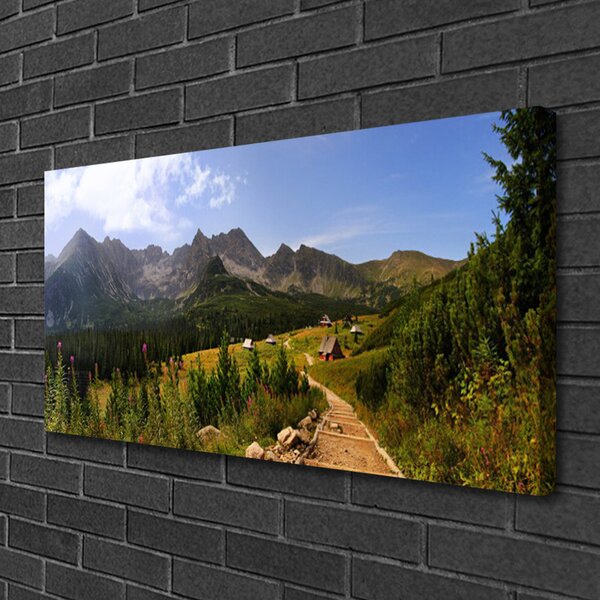 Obraz Canvas Hala góry droga natura łąka 100x50 cm