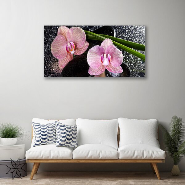 Obraz Canvas Kvety orchidea kamene zen 100x50 cm