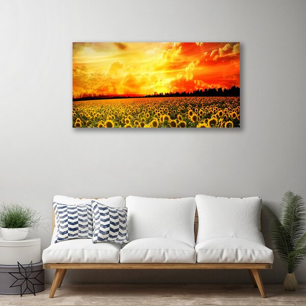 Obraz Canvas Lúka slnečnica kvety 100x50 cm
