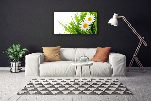 Obraz Canvas Sedmokráska kvet príroda 100x50 cm