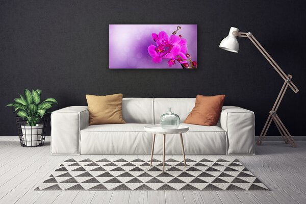Obraz Canvas Kvety plátky orchidea 100x50 cm