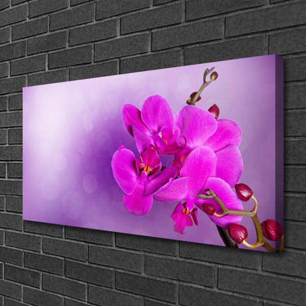 Obraz Canvas Kvety plátky orchidea 100x50 cm