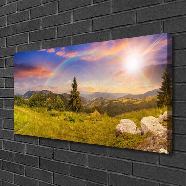 Obraz Canvas Hory lúka kamene príroda 100x50 cm