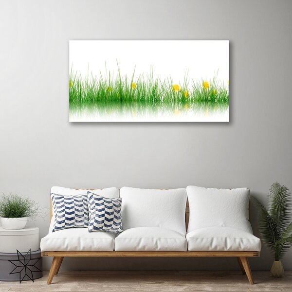 Obraz Canvas Príroda tráva kvety 100x50 cm