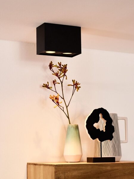 Lucide 22953/02/30 stropné bodové svietidlo Tube 2x50W | GU10 - čierna, nastaviteľné, stmievateľné