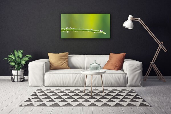 Obraz Canvas Kvapka rosy na tráve 100x50 cm