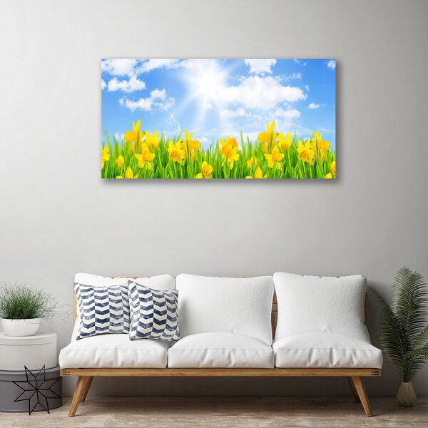 Obraz Canvas Narcisy lúka tráva príroda 100x50 cm