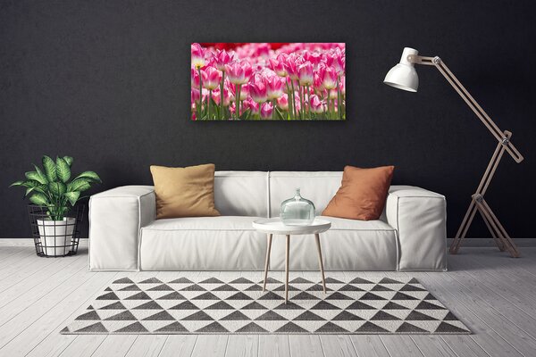 Obraz Canvas Tulipány kvety príroda 100x50 cm