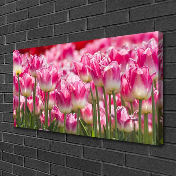 Obraz Canvas Tulipány kvety príroda 100x50 cm
