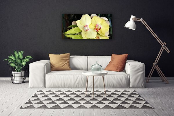 Obraz Canvas Okvetné plátky orchidea 100x50 cm