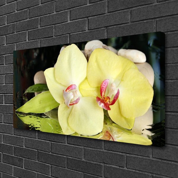Obraz Canvas Okvetné plátky orchidea 100x50 cm