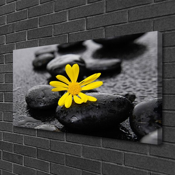 Obraz Canvas Kvet kamene rastlina kúpele 100x50 cm