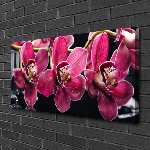 Obraz Canvas Kvety orchidey výhonky príroda 100x50 cm