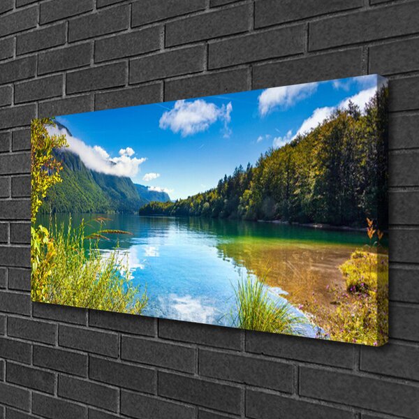 Obraz Canvas Hory les príroda jazero 100x50 cm