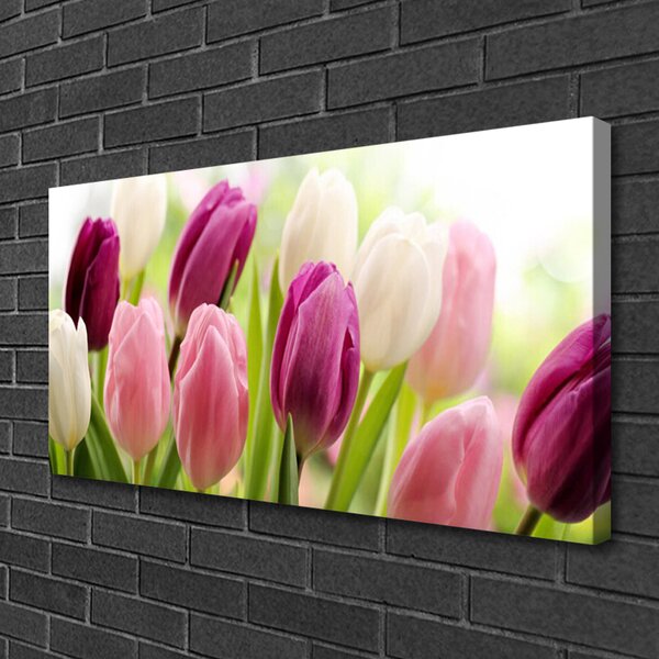 Obraz Canvas Tulipány kvety príroda lúka 100x50 cm