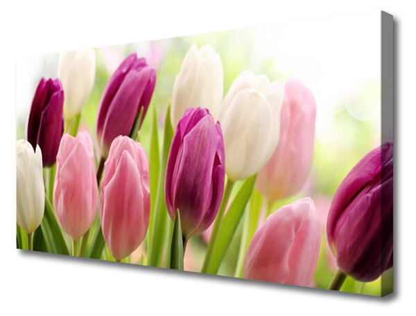 Obraz Canvas Tulipány kvety príroda lúka 125x50 cm