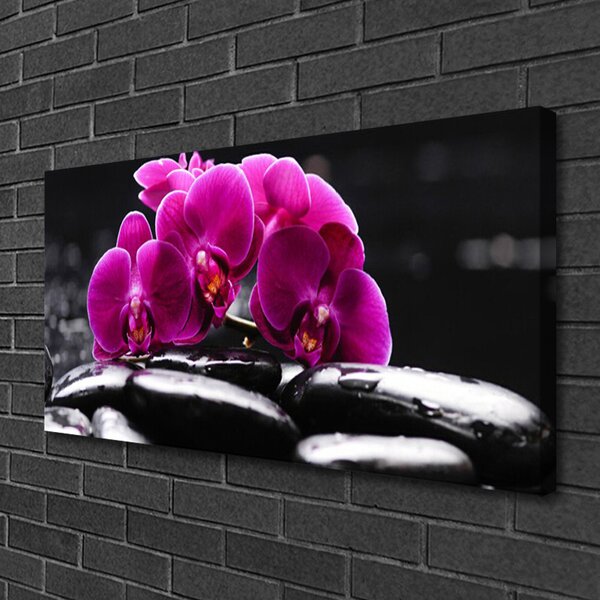 Obraz Canvas Kamene zen orchidea kúpele 100x50 cm