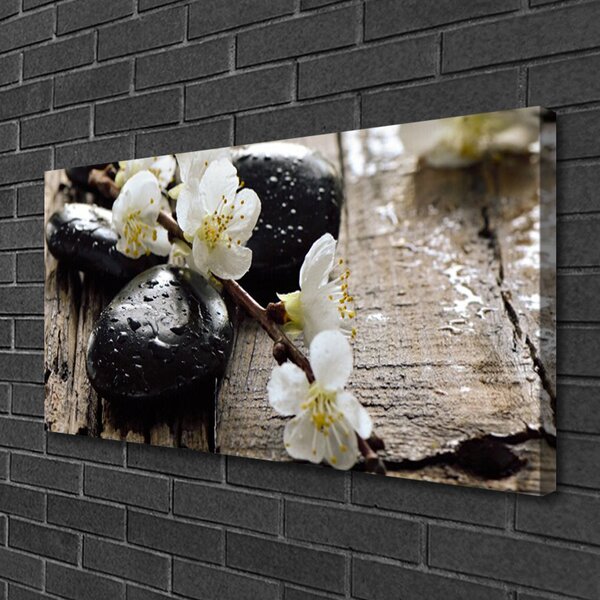 Obraz Canvas Kvety kamene zen 100x50 cm