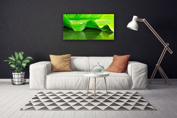 Obraz Canvas List roslina příroda 100x50 cm
