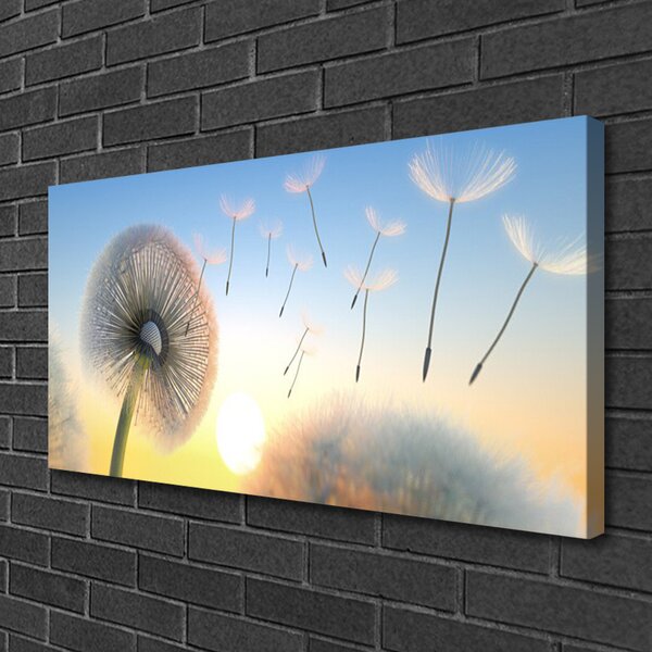 Obraz Canvas Púpava kvety 100x50 cm
