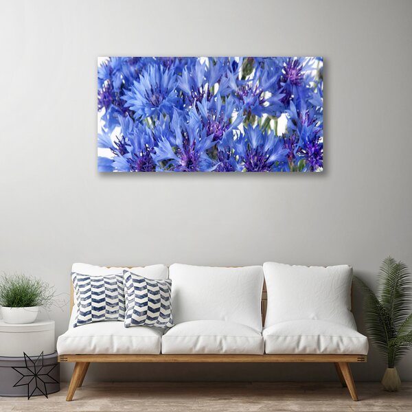 Obraz Canvas Kvety rastlina príroda 100x50 cm