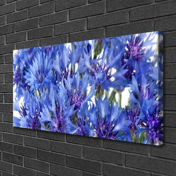 Obraz Canvas Kvety rastlina príroda 100x50 cm