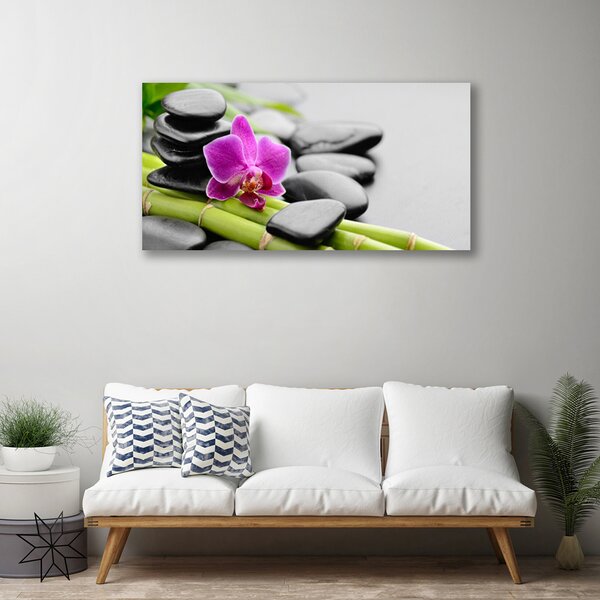 Obraz Canvas Bambus kvet kamene umenie 100x50 cm