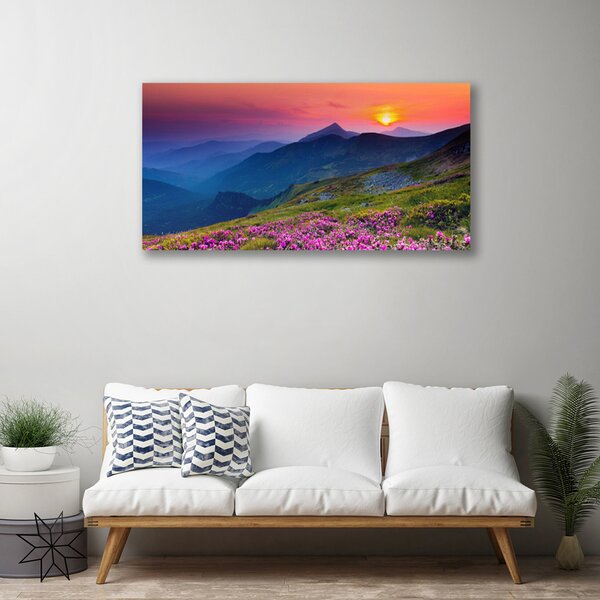 Obraz Canvas Hory lúka kvety príroda 100x50 cm