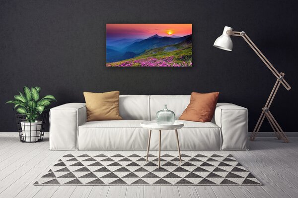 Obraz Canvas Hory lúka kvety príroda 100x50 cm