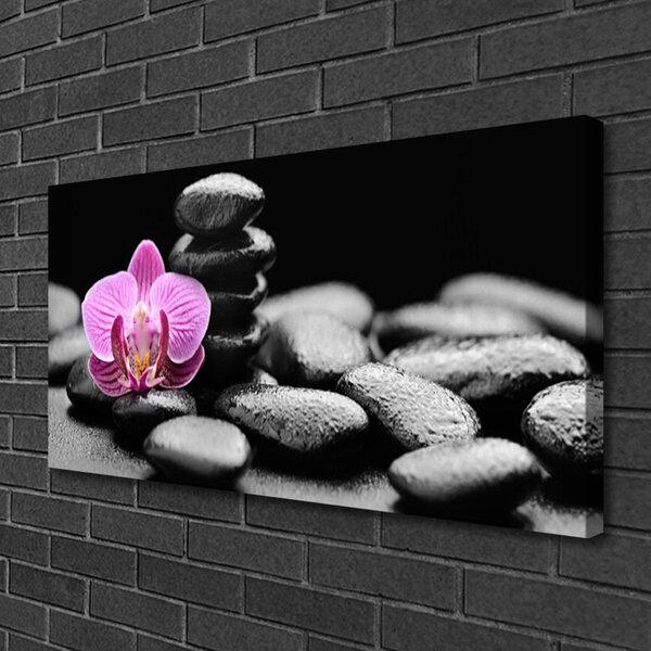 Obraz Canvas Kvet kamene umenie 100x50 cm
