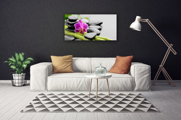 Obraz Canvas Bambus kvet kamene umenie 100x50 cm