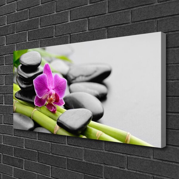 Obraz Canvas Bambus kvet kamene umenie 100x50 cm