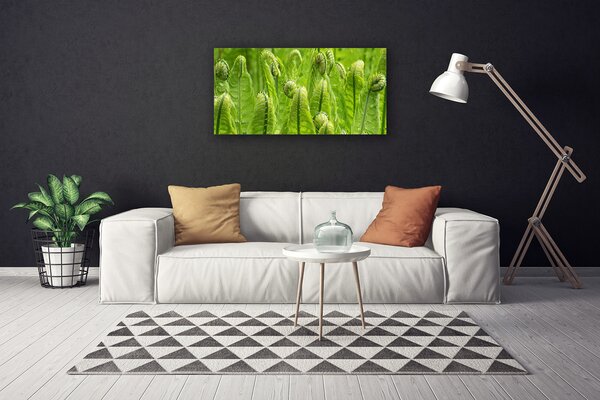 Obraz Canvas Rastlina príroda 100x50 cm